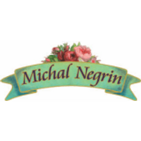 Michal Negrin coupons